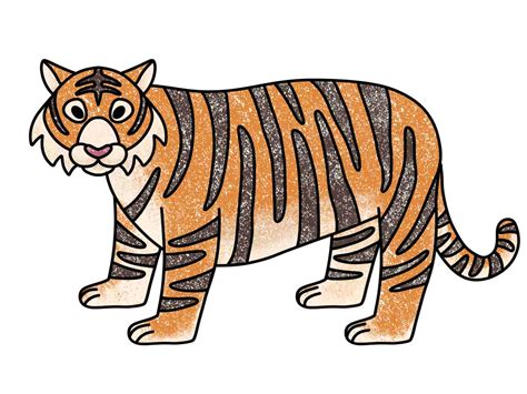 siberian tiger drawing